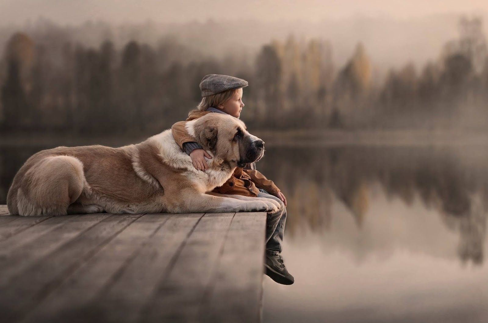 Boy With Dog Wallpapers Wallpaper Cave