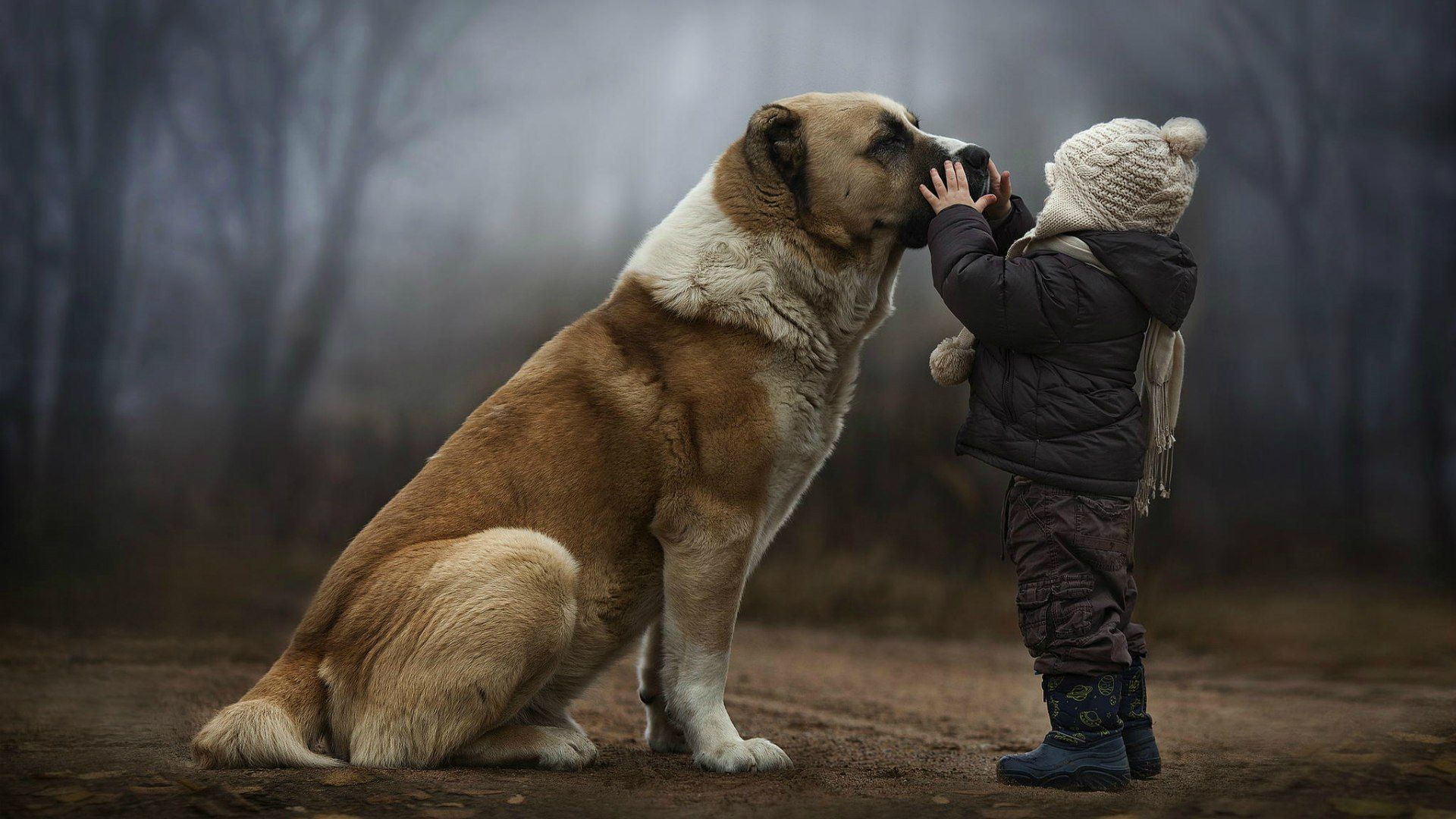 Boy With Dog Wallpapers Wallpaper Cave