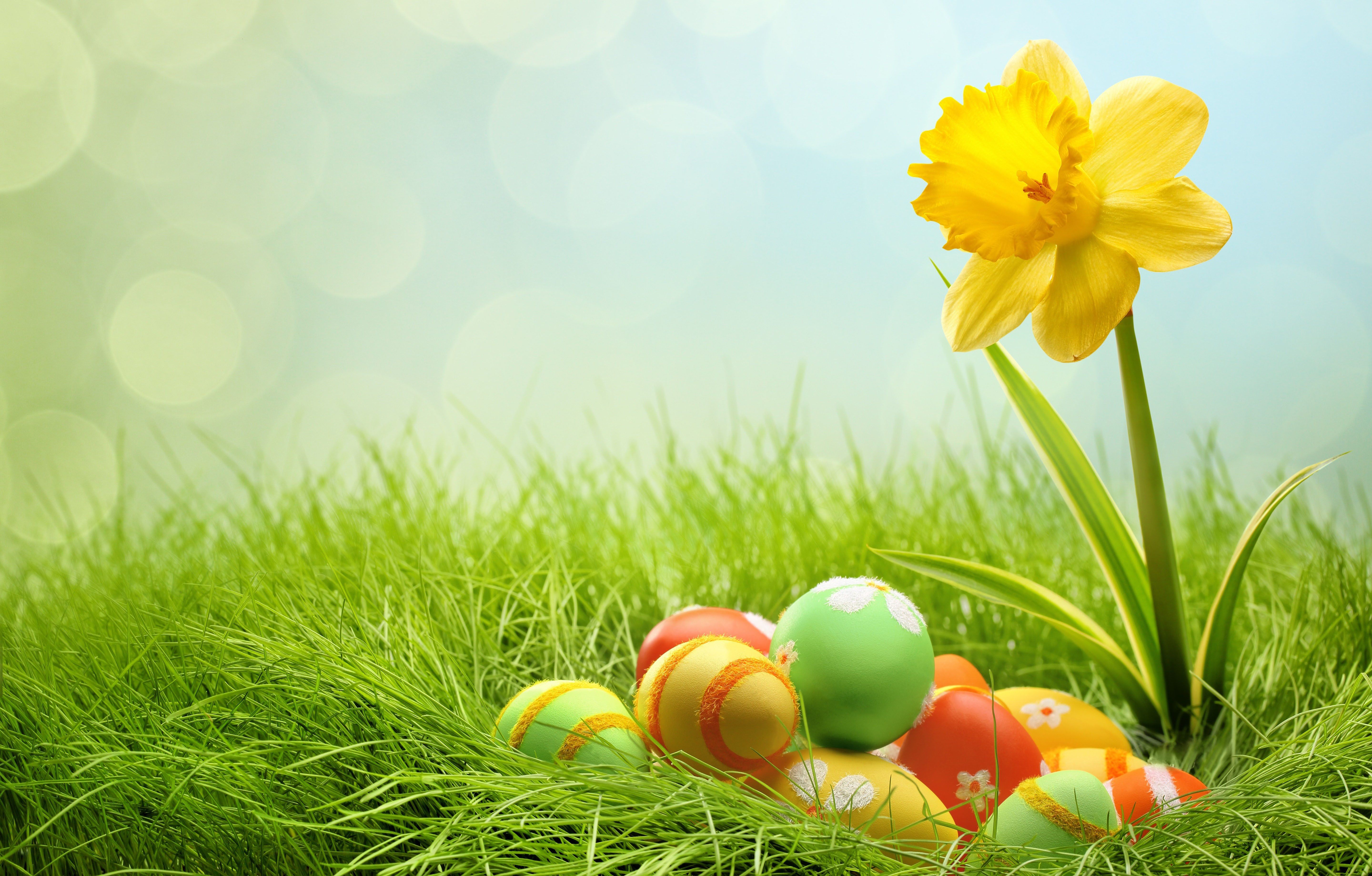 Easter Yellow Wallpapers Wallpaper Cave