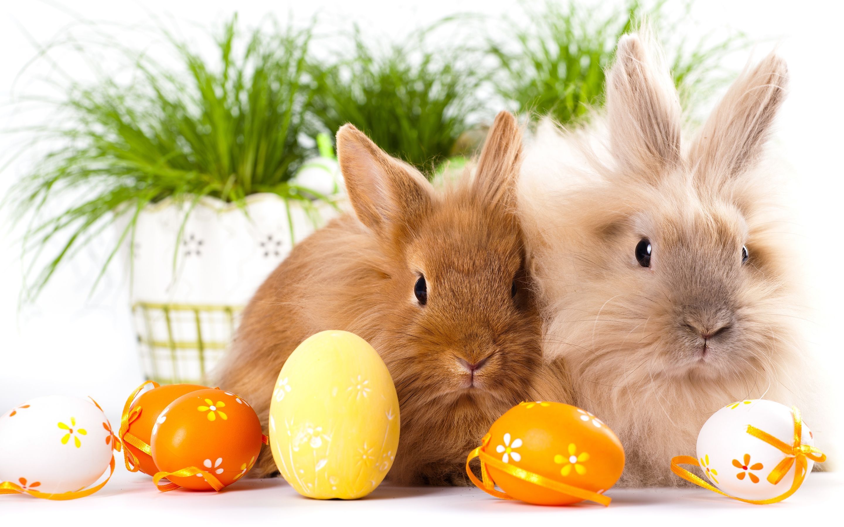Easter Aesthetic Computer Wallpapers Wallpaper Cave