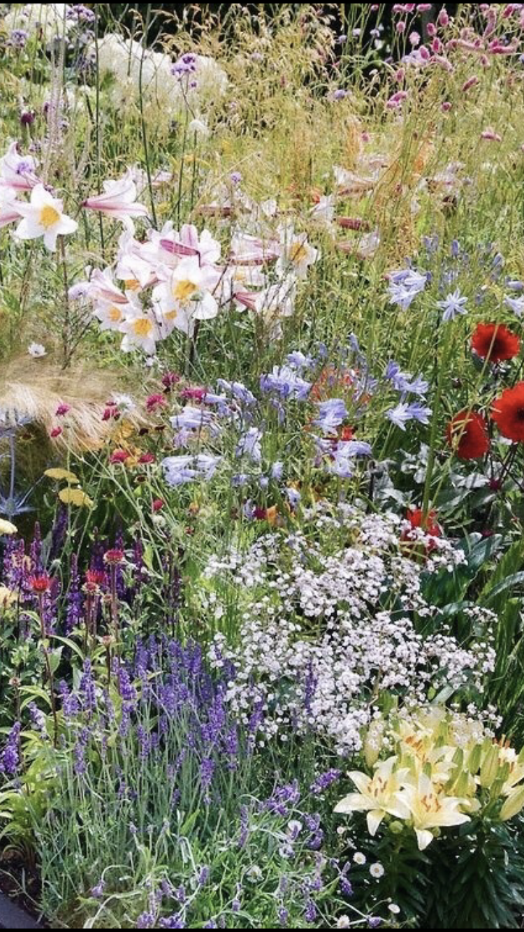 Fairycore Wallpapers Wallpaper Cave