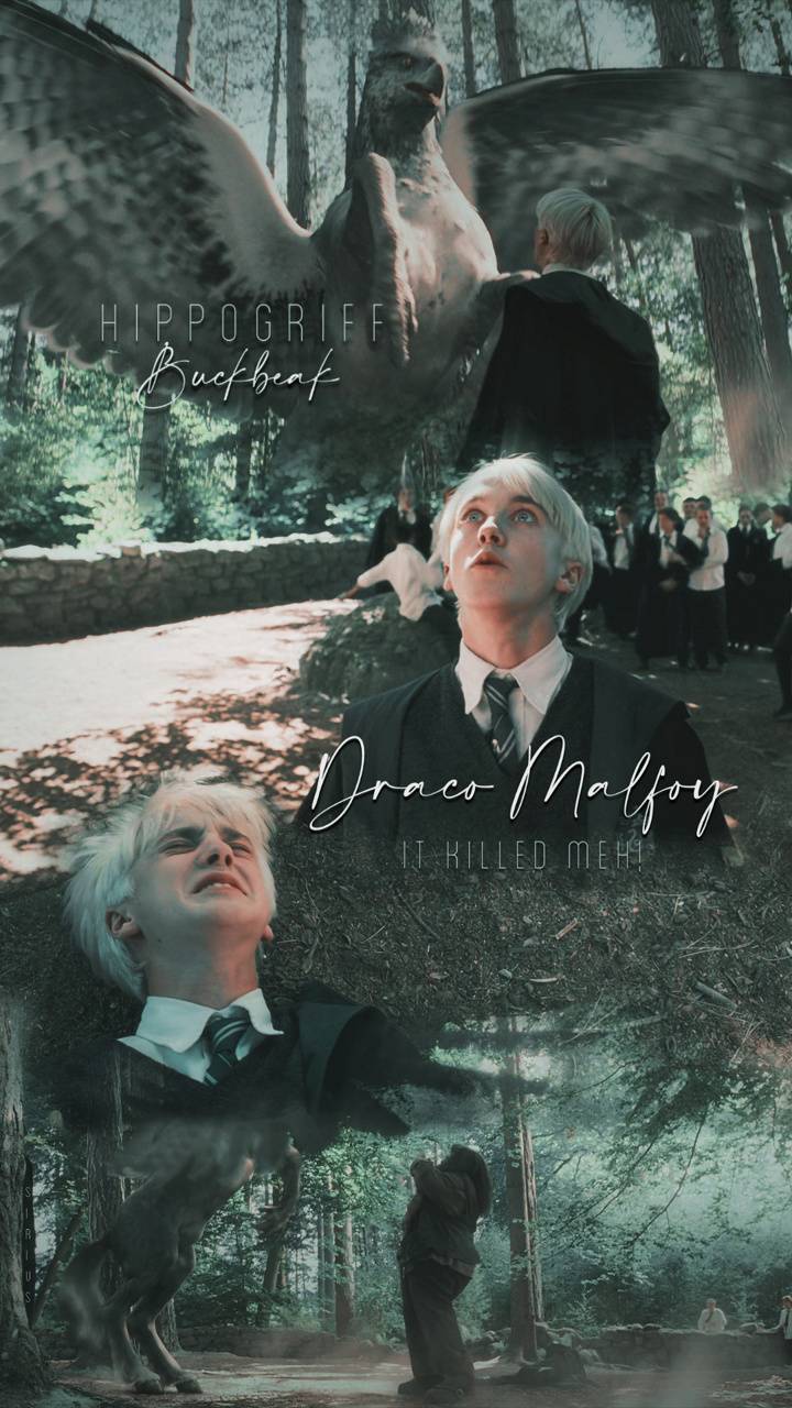 Harry Potter And Draco Malfoy Wallpapers Wallpaper Cave