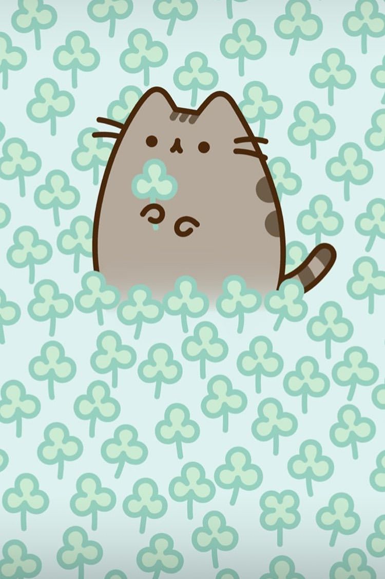 Cute UwU Wallpapers Wallpaper Cave