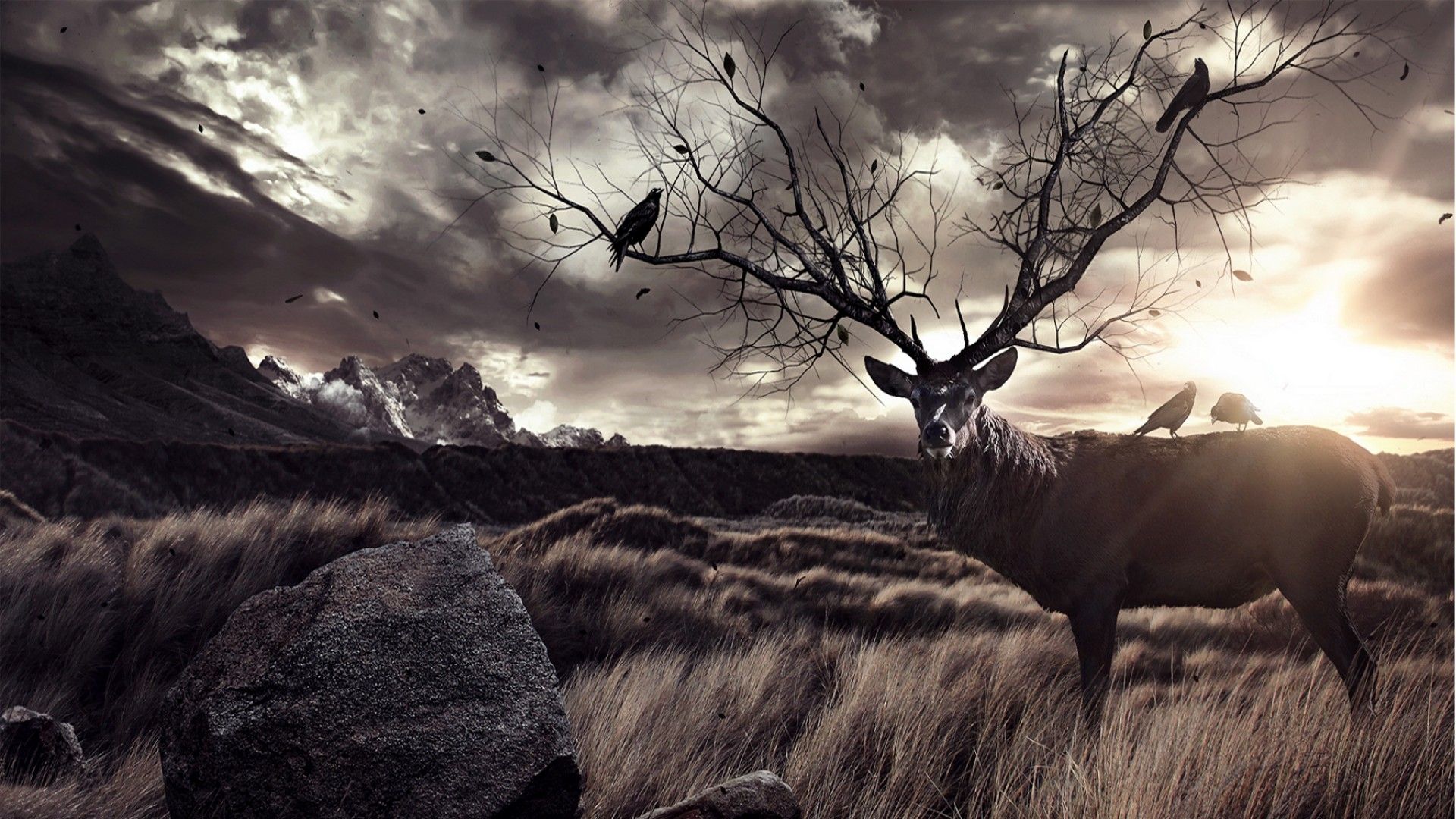 Deer Art Wallpapers Wallpaper Cave