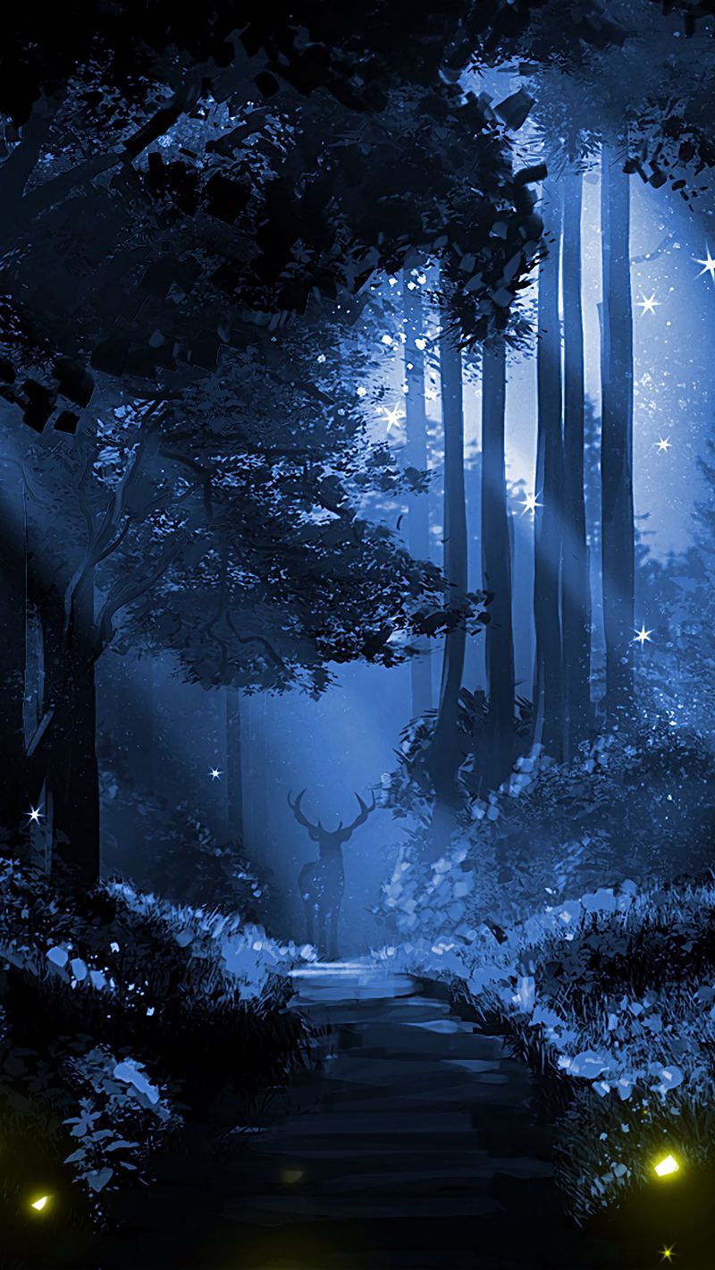 Anime Night Forest Wallpapers Wallpaper Cave