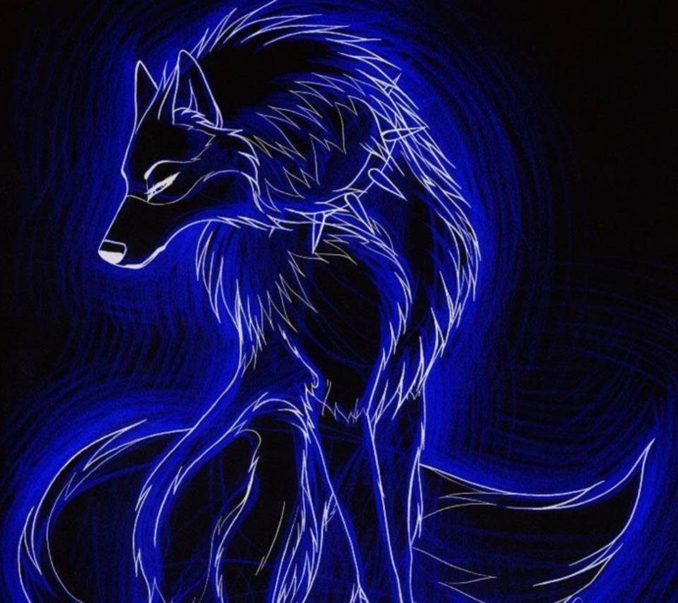 Black And Blue Wolf Wallpapers Wallpaper Cave