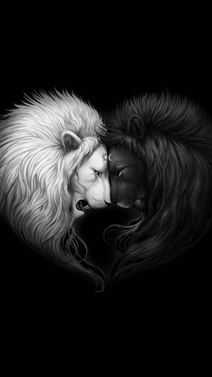 Lion Aesthetic Wallpapers Wallpaper Cave