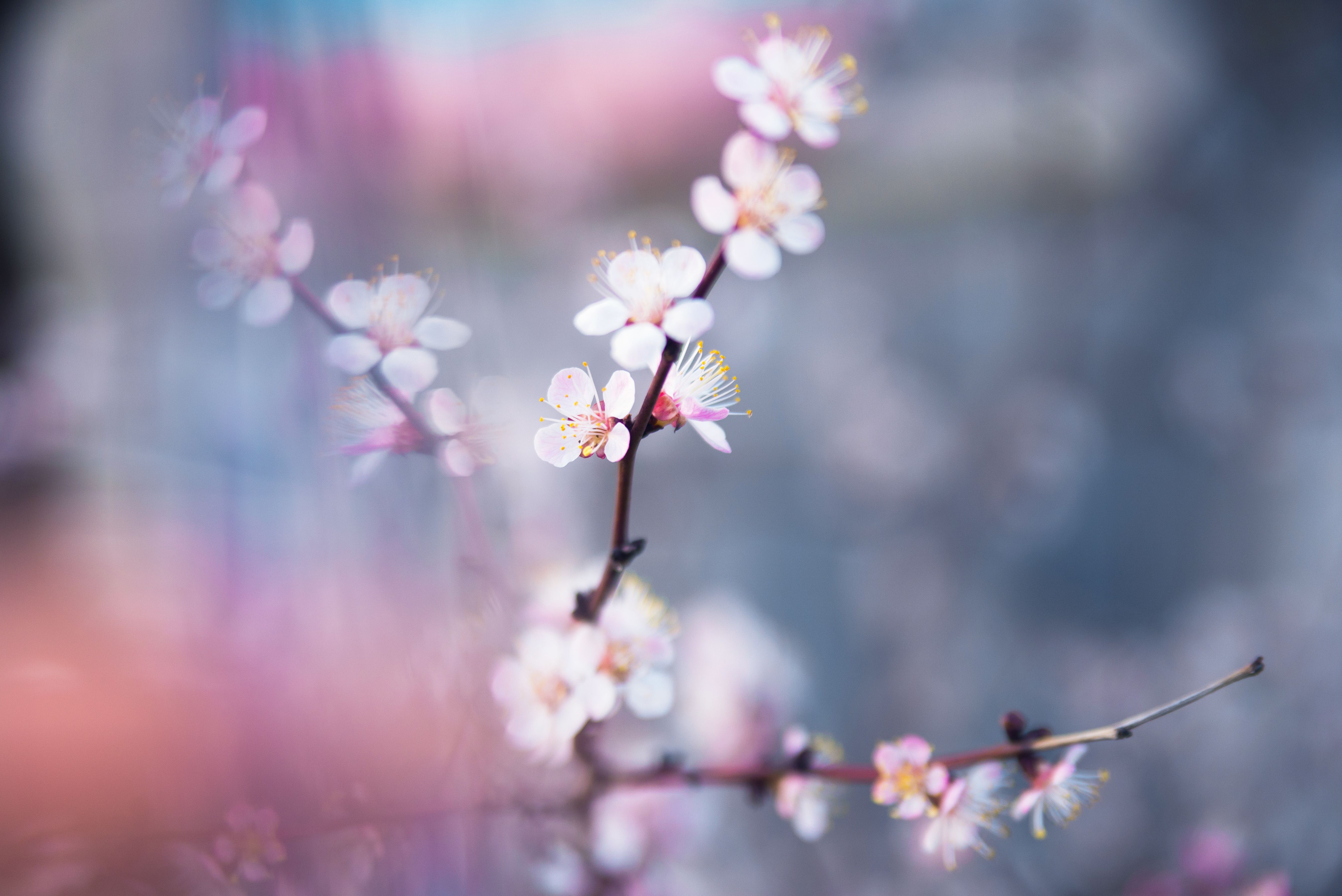 Spring Calming Wallpapers Wallpaper Cave