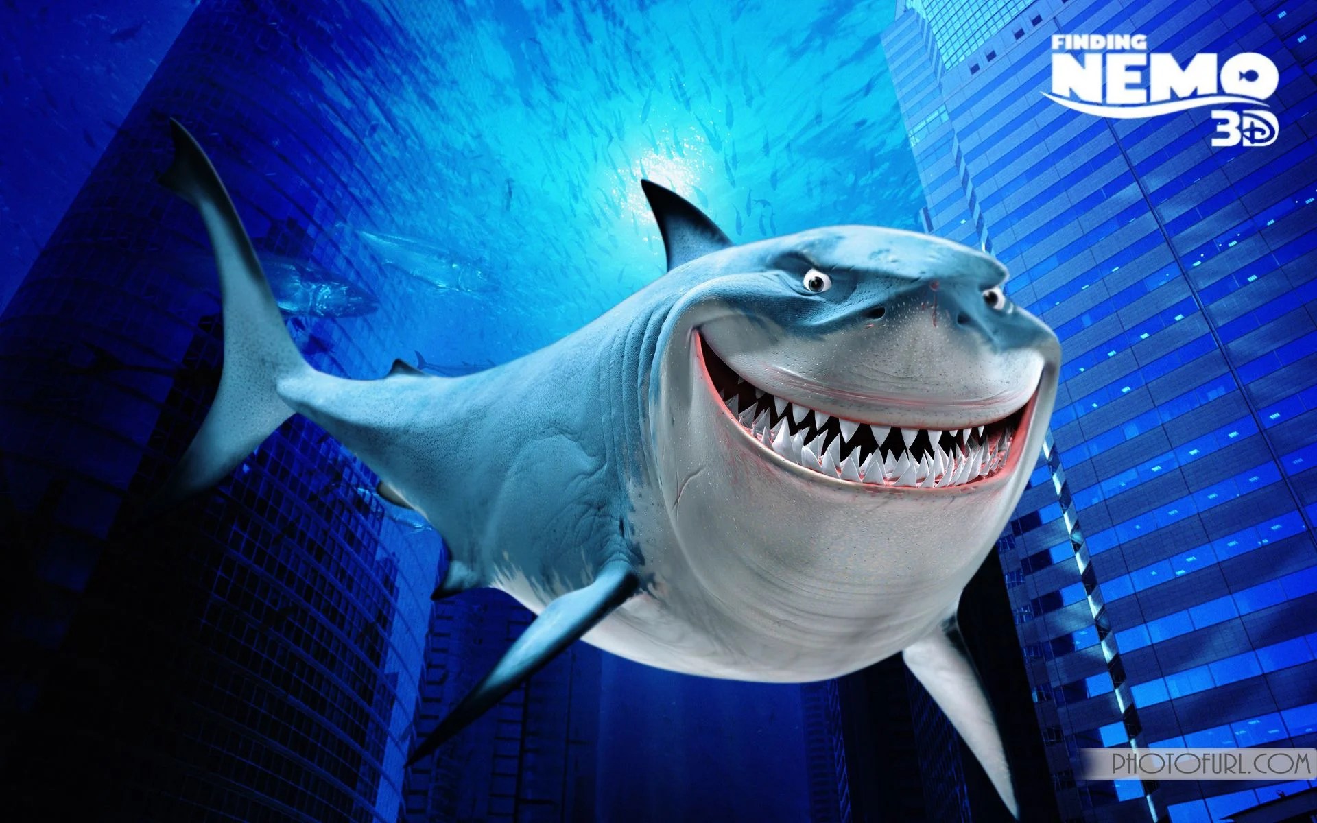 Cartoon Shark Background