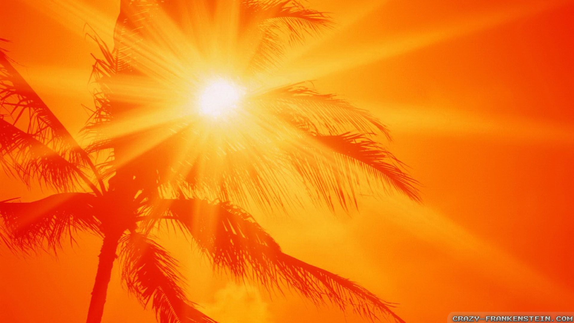 Hot Sun Wallpapers Wallpaper Cave