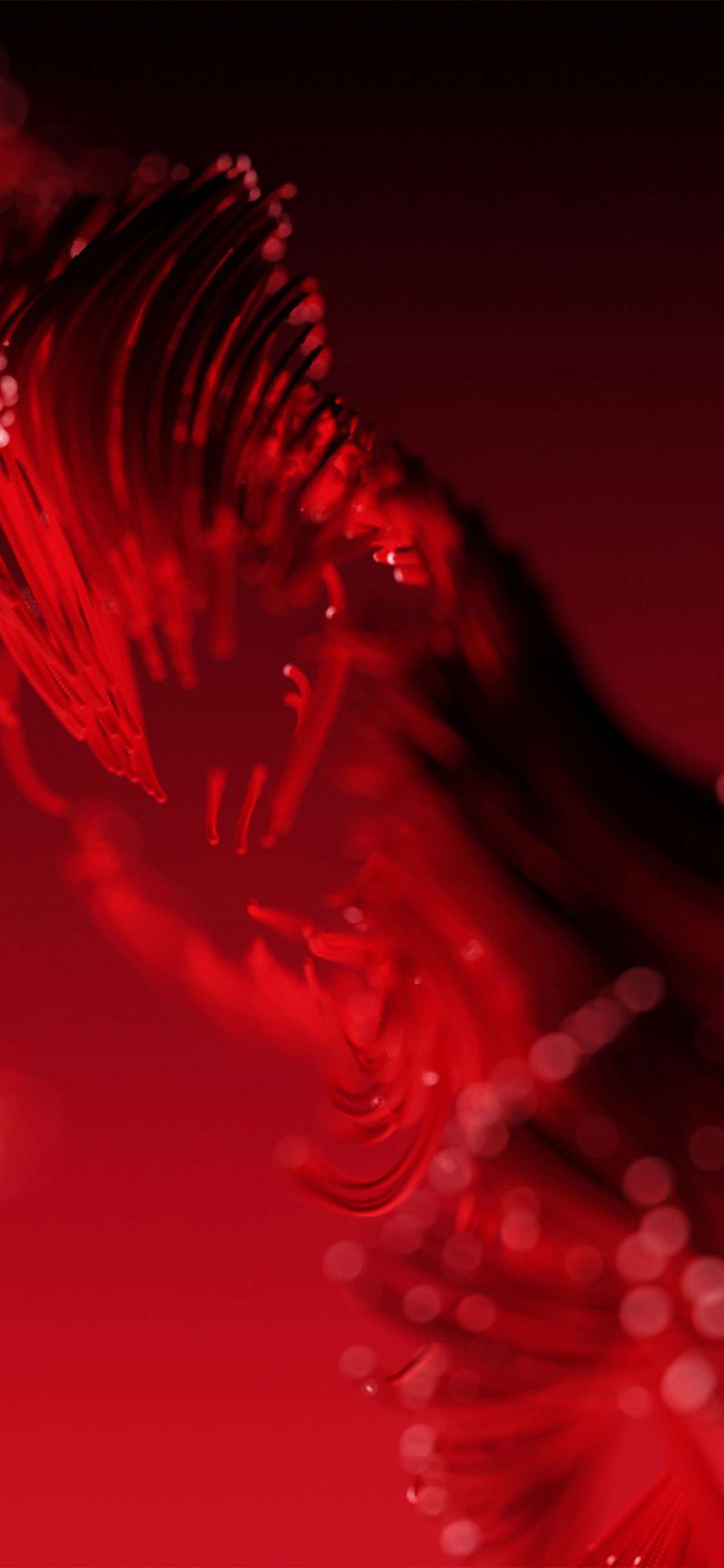 Red iPhone Wallpapers Wallpaper Cave