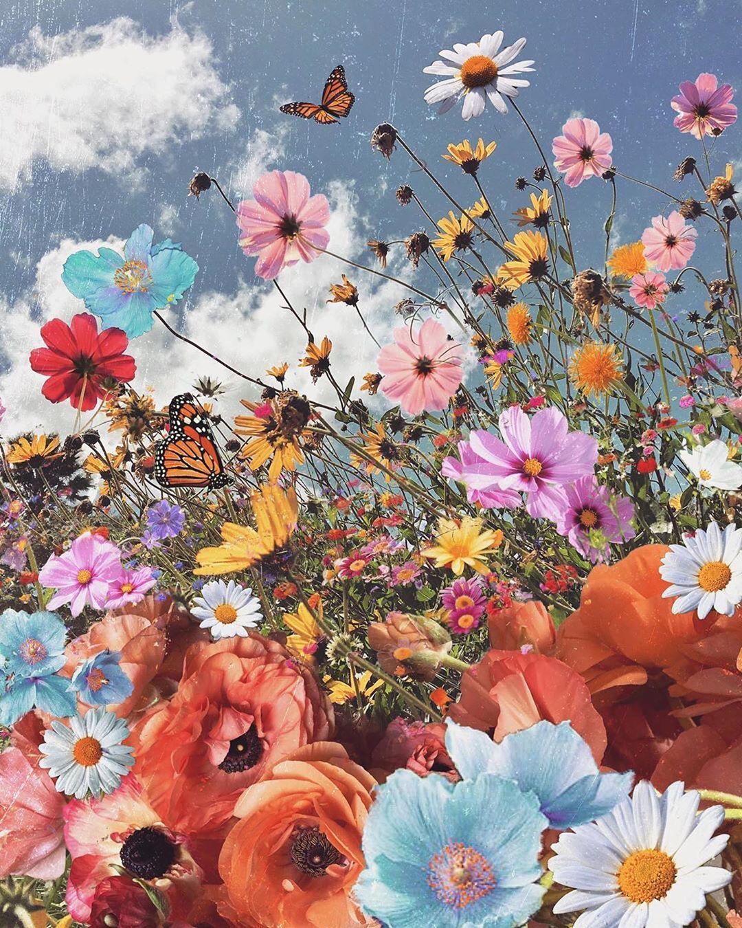 Spring Flower Collage Wallpapers Wallpaper Cave