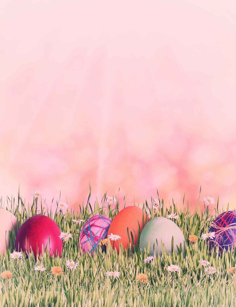 Easter Pink Wallpapers Wallpaper Cave