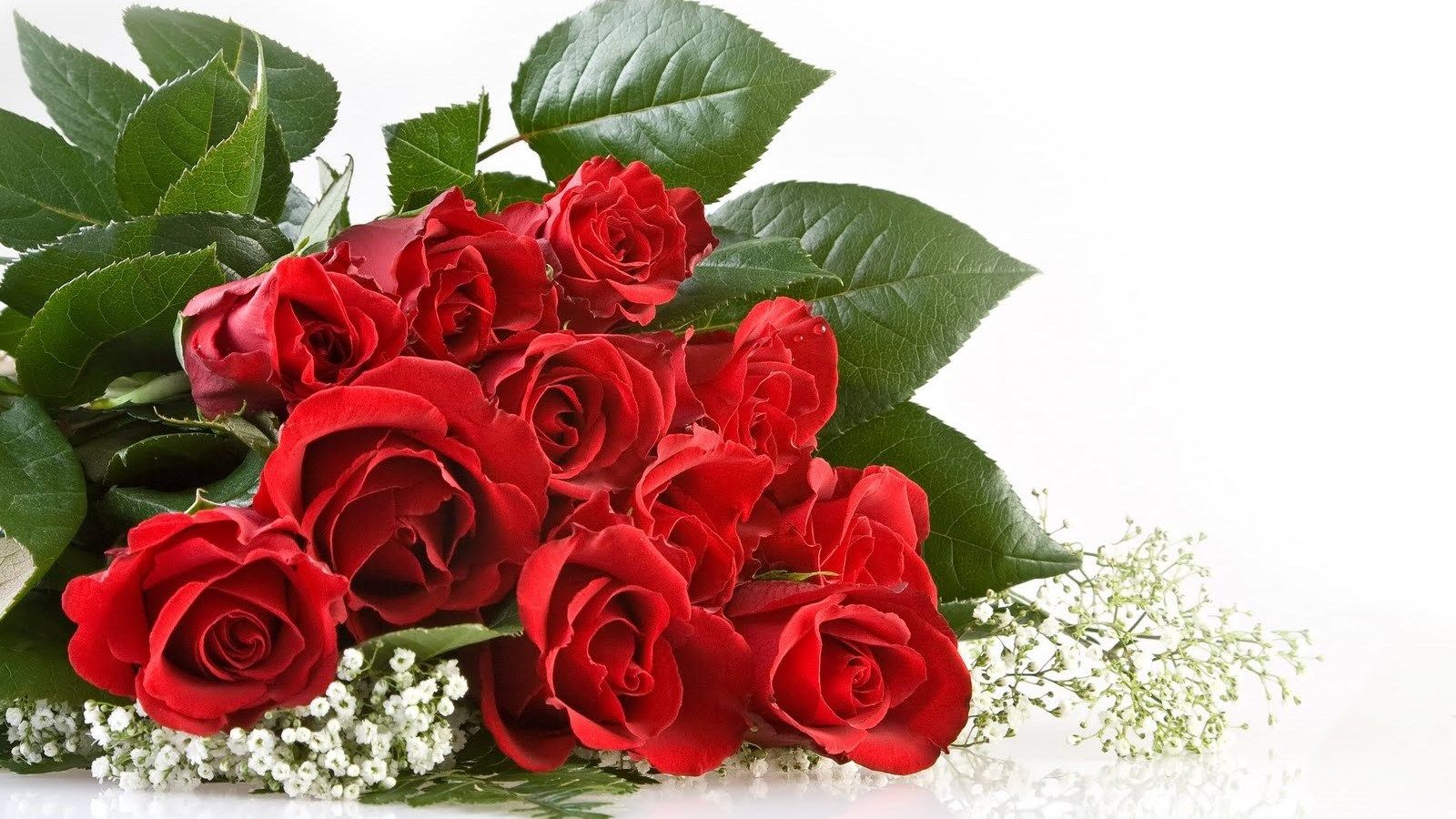 Red And White Flowers Wallpapers Wallpaper Cave