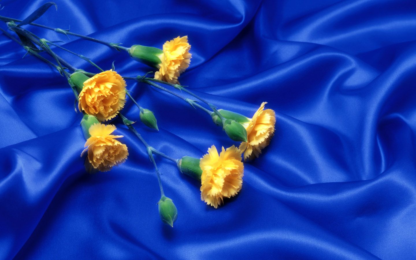 Yellow And Blue Flowers Wallpapers Wallpaper Cave