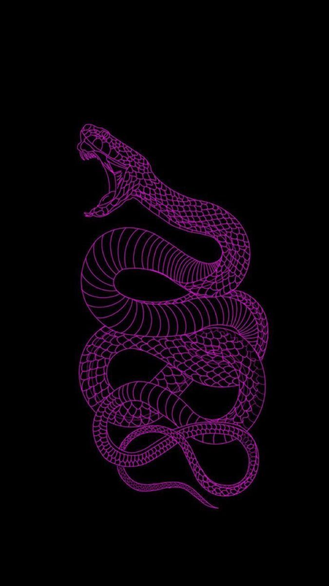 Purple Snakes Wallpapers Wallpaper Cave