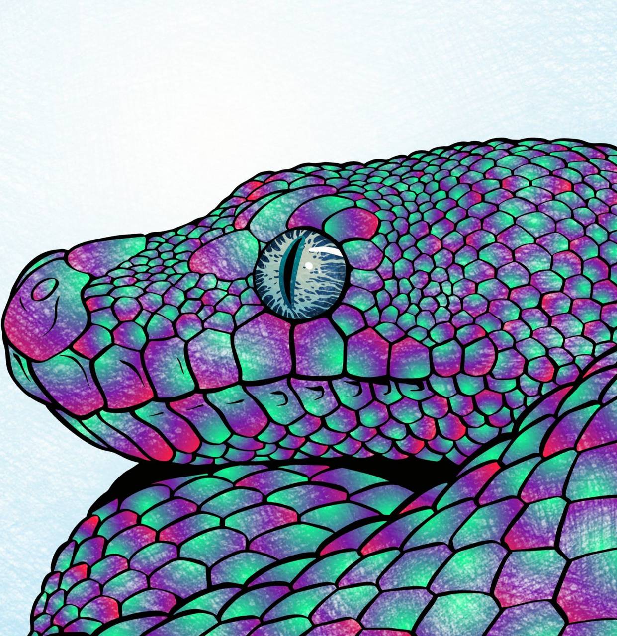 Purple Snakes Wallpapers Wallpaper Cave