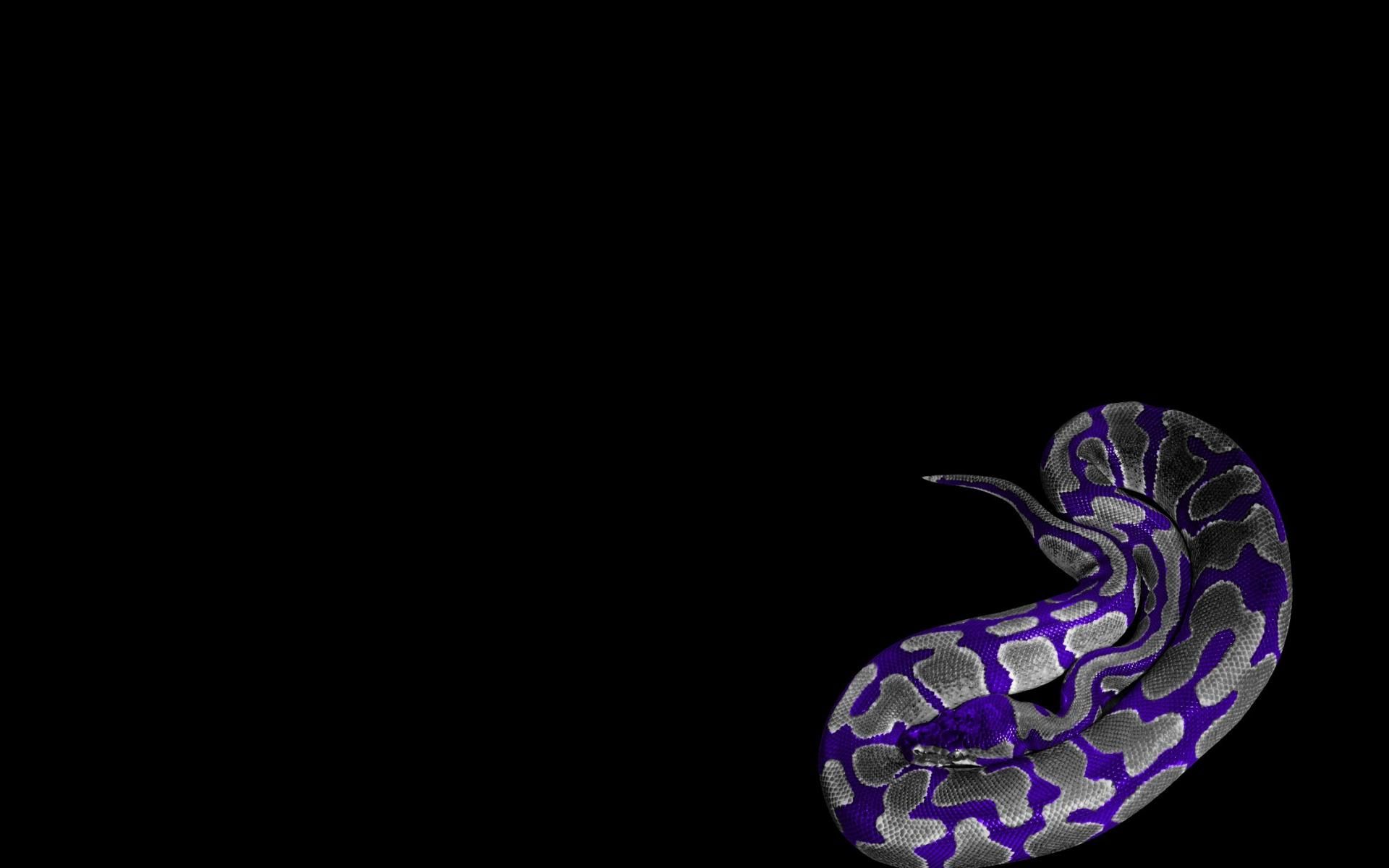 Purple Snakes Wallpapers Wallpaper Cave