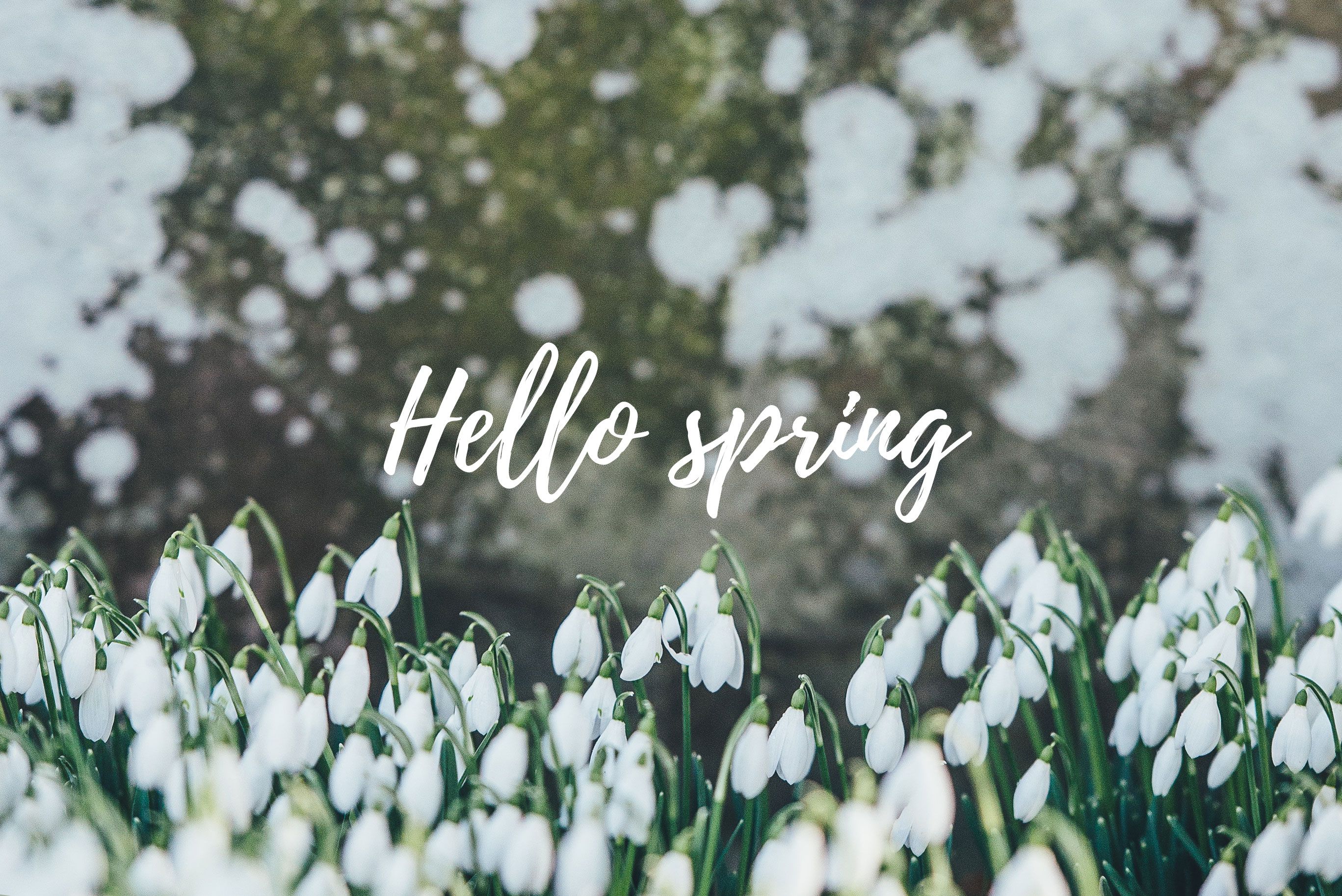 Aesthetic Collage Spring Wallpapers Wallpaper Cave