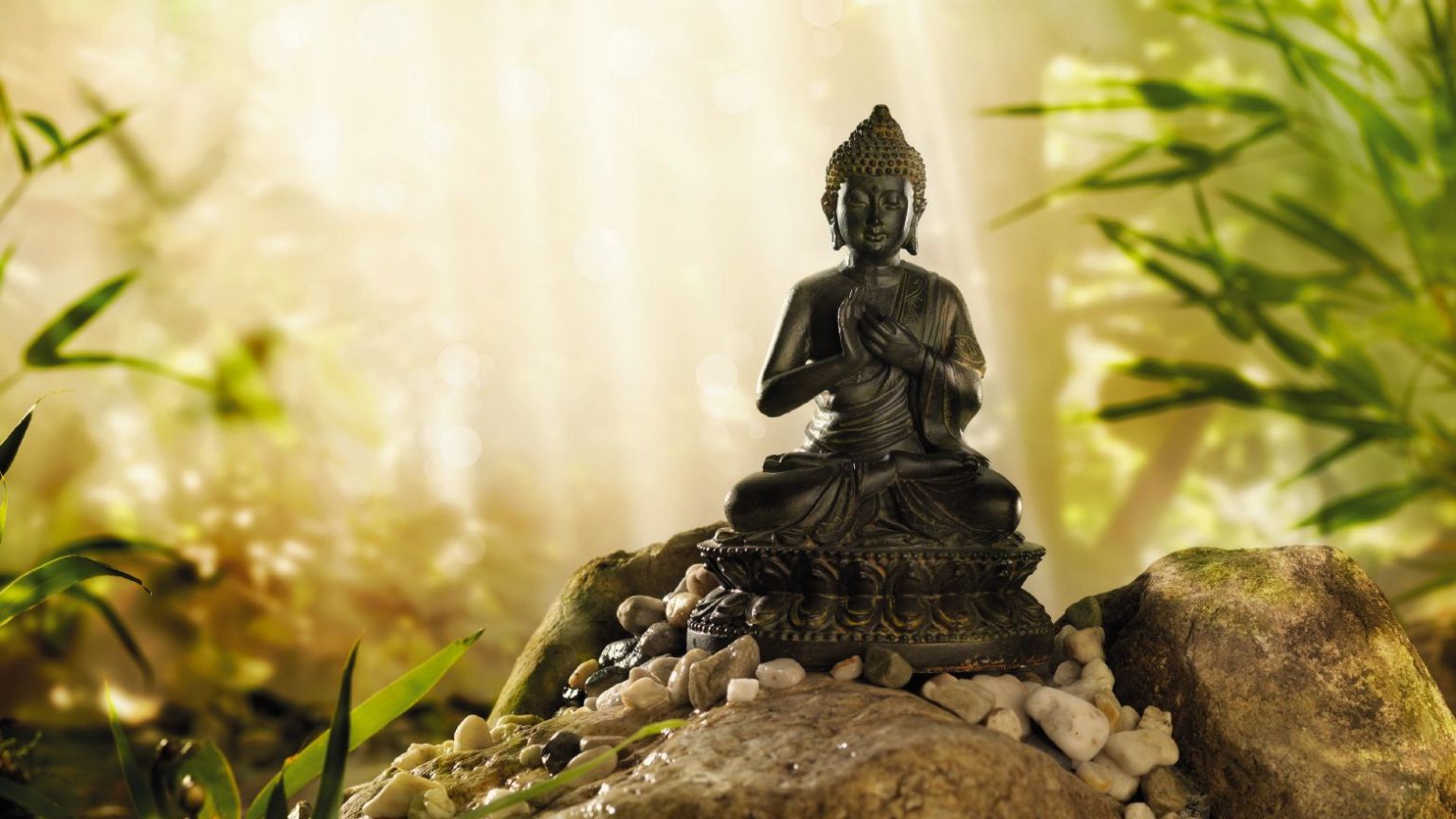 Little Buddha Wallpapers Wallpaper Cave