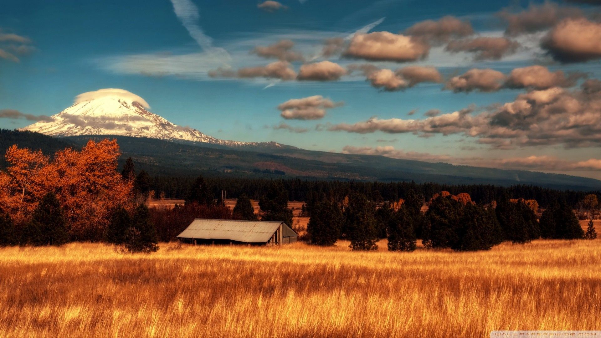 End Of Summer Wallpapers Wallpaper Cave