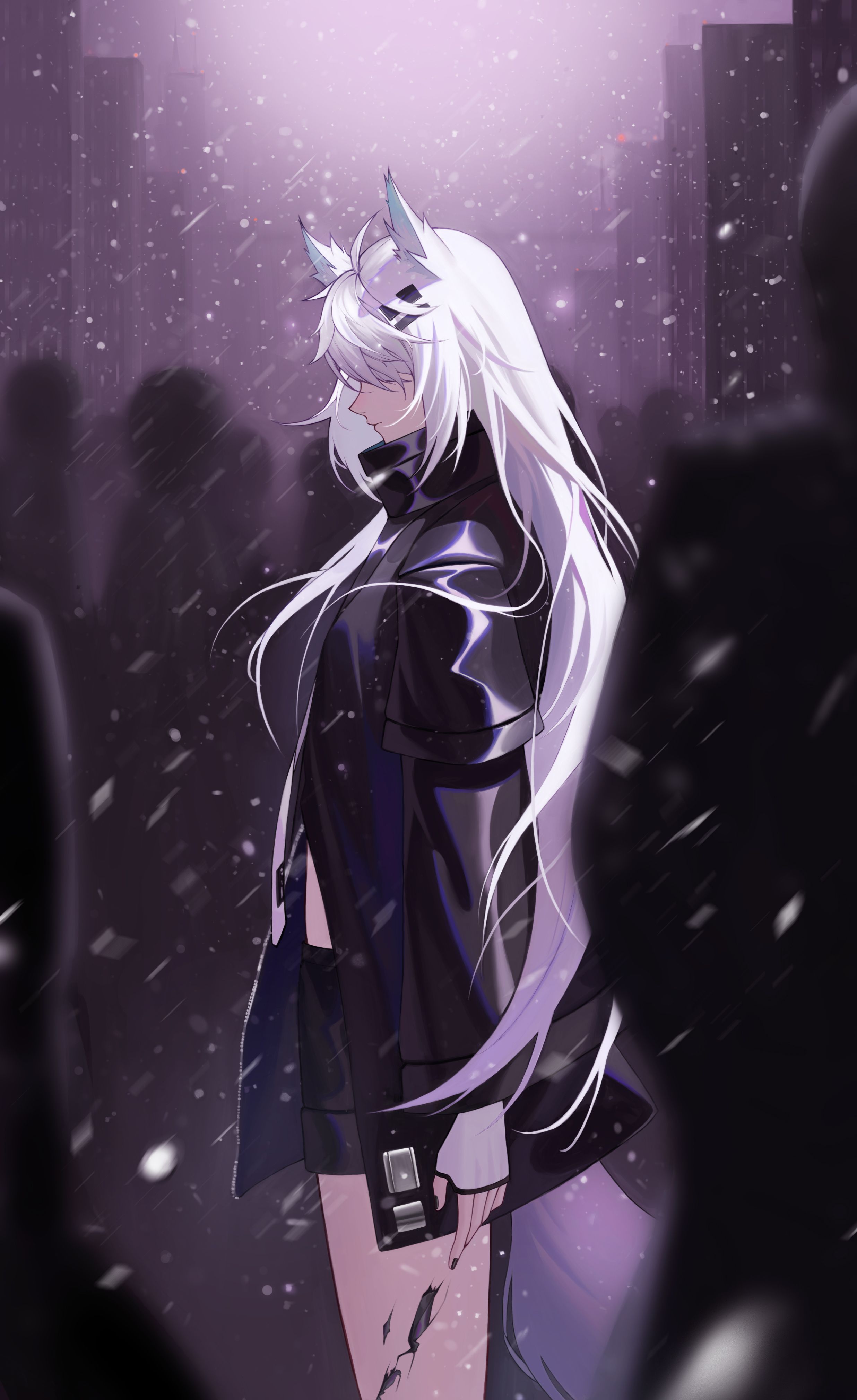 Lappland Wallpapers Wallpaper Cave