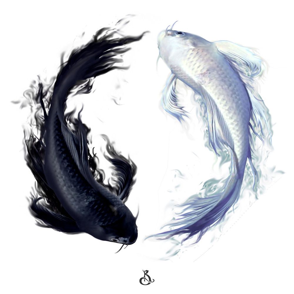 Yin Yang Fish Wallpapers Wallpaper Cave
