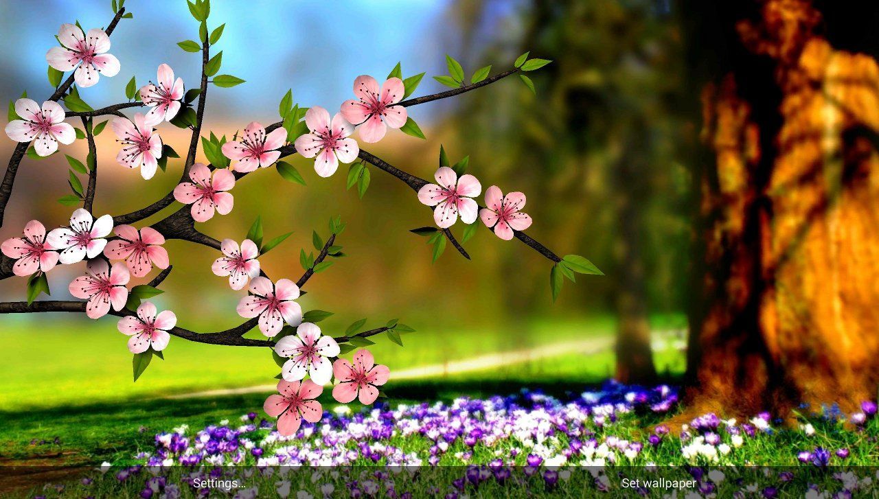 Spring Flowers 3D Wallpapers Wallpaper Cave