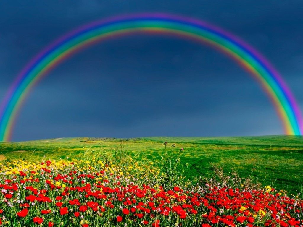 Spring Rainbow Wallpapers Wallpaper Cave