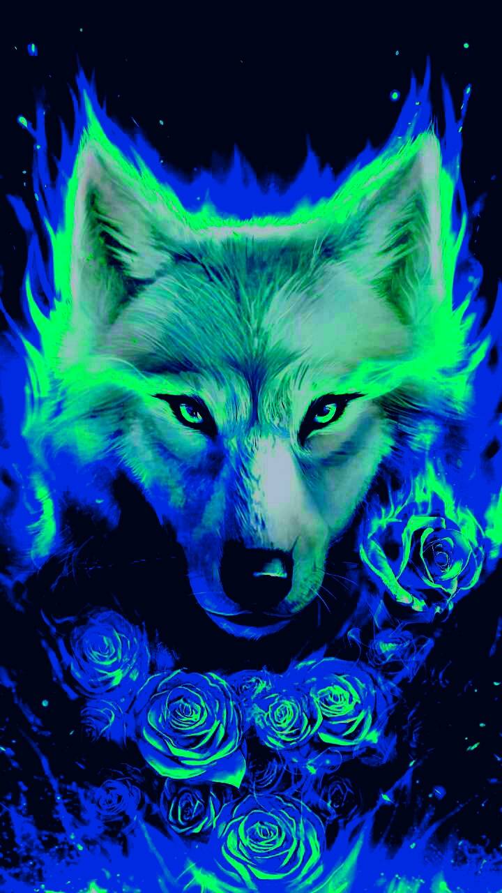 Glowing Wolf Wallpapers Wallpaper Cave