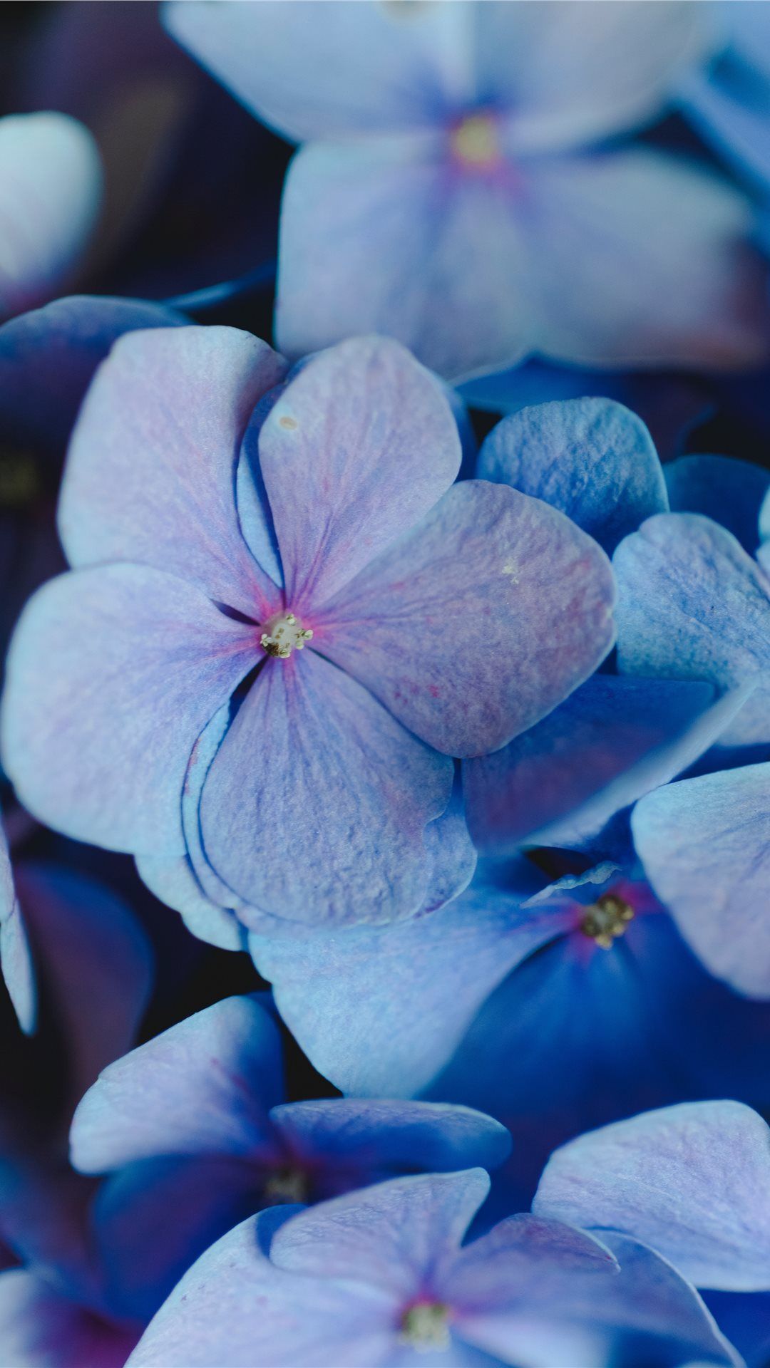Periwinkle Aesthetic Wallpapers Wallpaper Cave