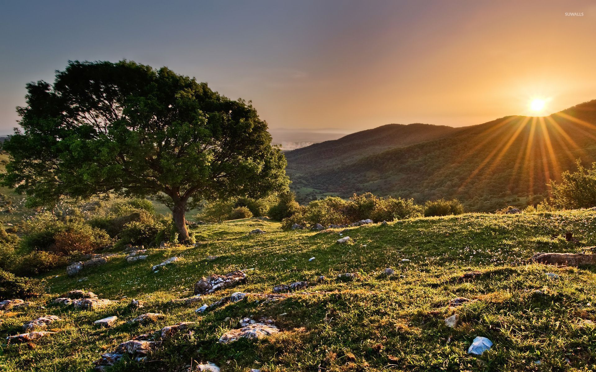 Hilltop Wallpapers Wallpaper Cave