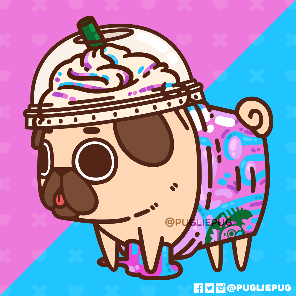 Frappuccino Puglie Pug Wallpapers Wallpaper Cave