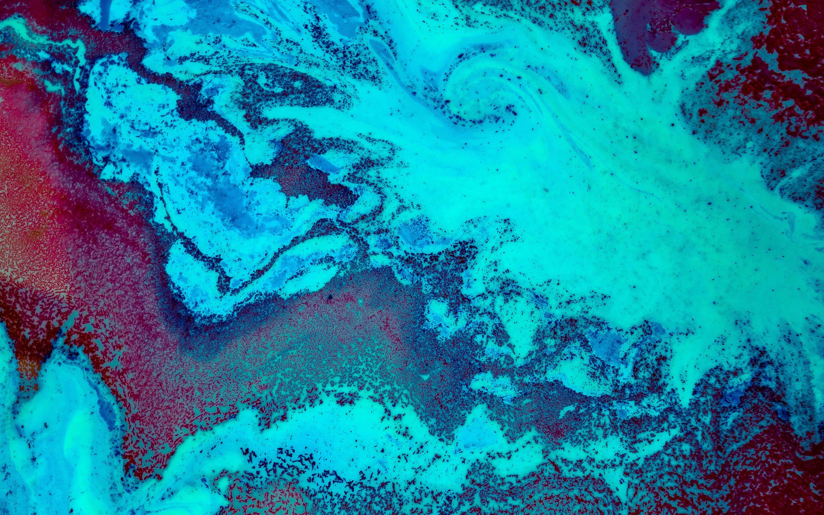 4k Coral Wallpapers Wallpaper Cave