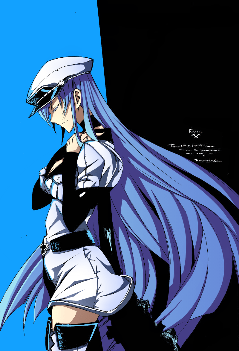 Akame Ga Kill Esdeath Wallpapers Wallpaper Cave