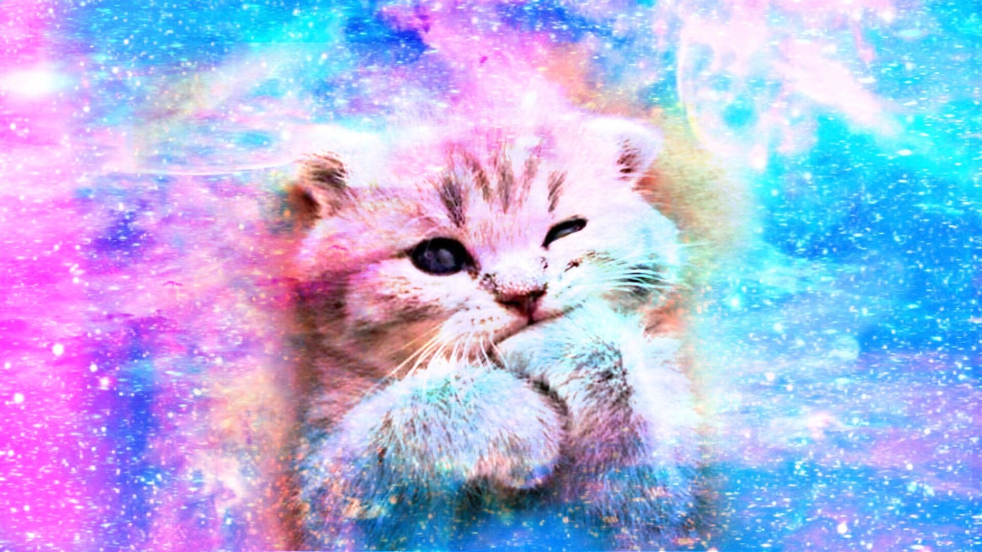 Cute Pink Kittens Wallpapers Wallpaper Cave