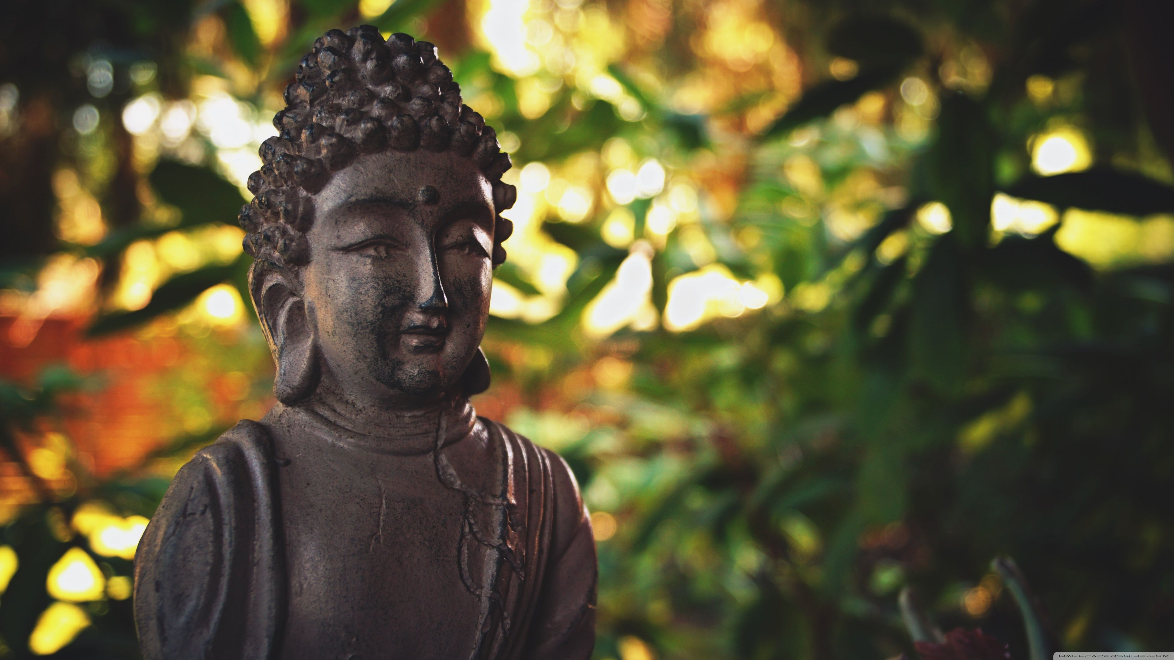 Buddha 4k HD Wallpapers Wallpaper Cave