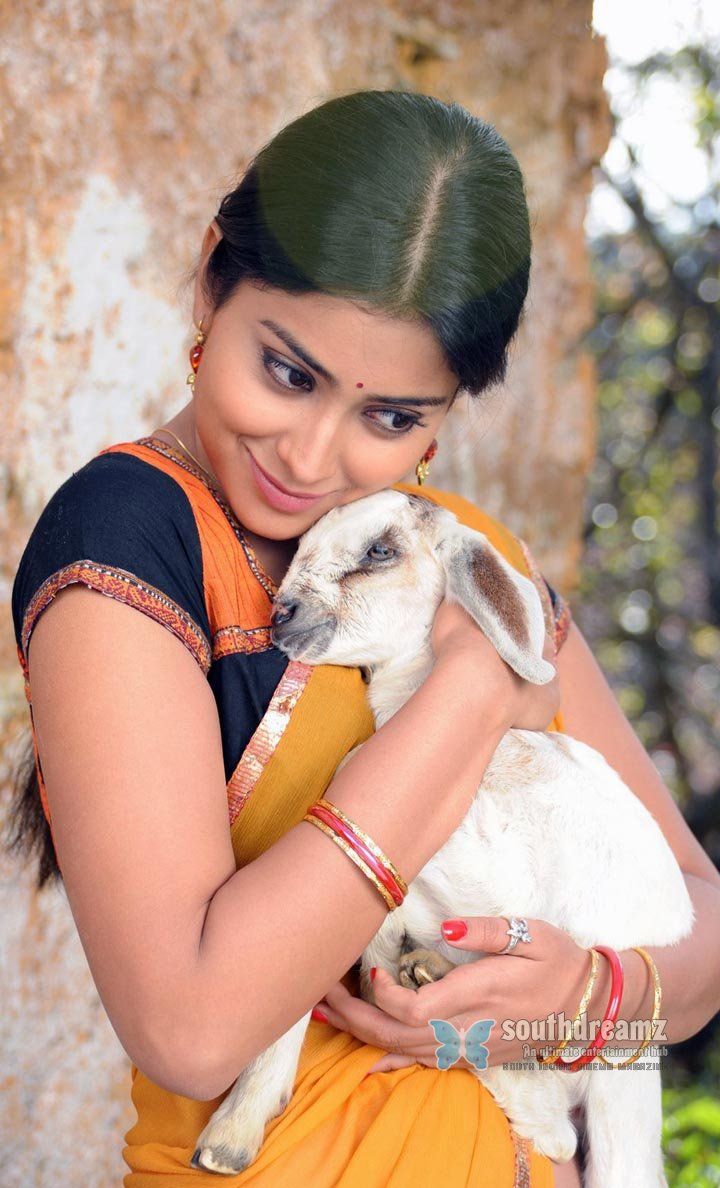 Kutty Movie Wallpapers Wallpaper Cave