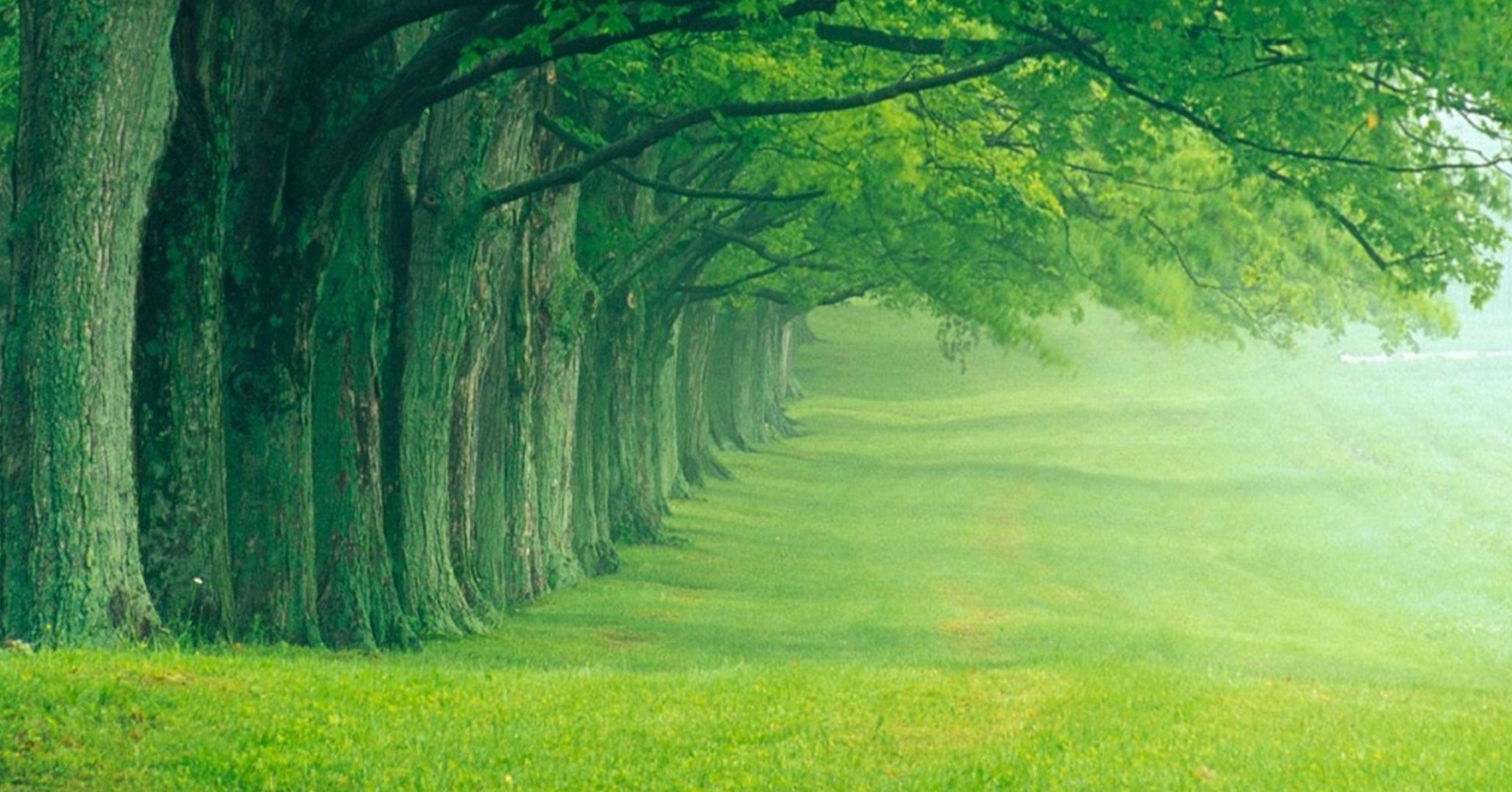 Fresh Natural 4k PC Wallpapers Wallpaper Cave