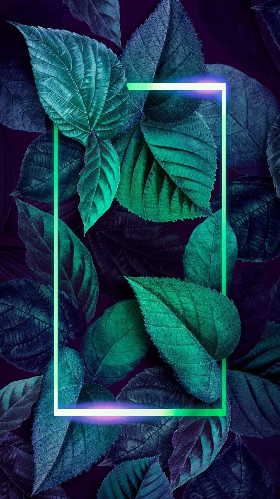Neon Leaves Wallpapers Wallpaper Cave