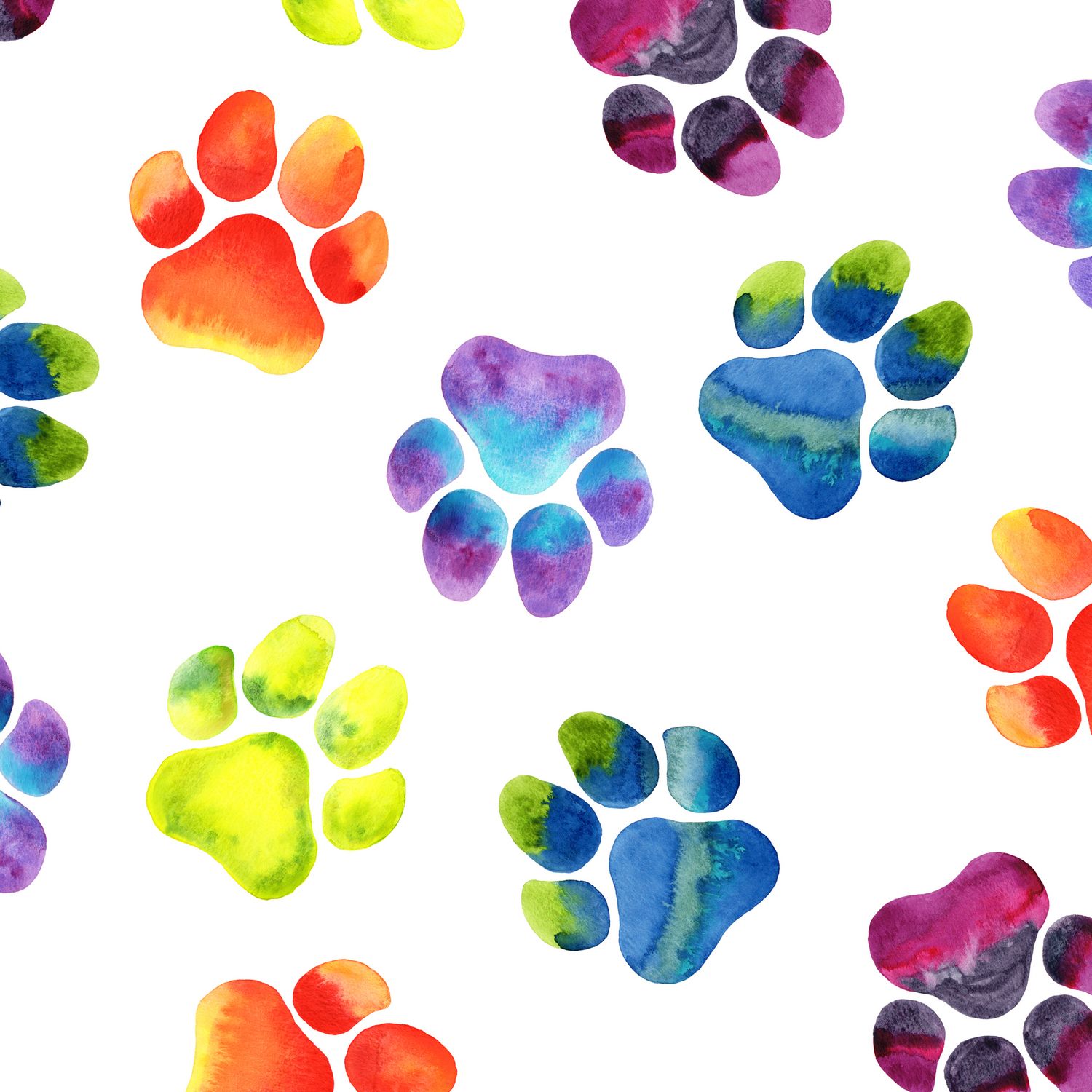 Rainbow Paws Wallpapers Wallpaper Cave
