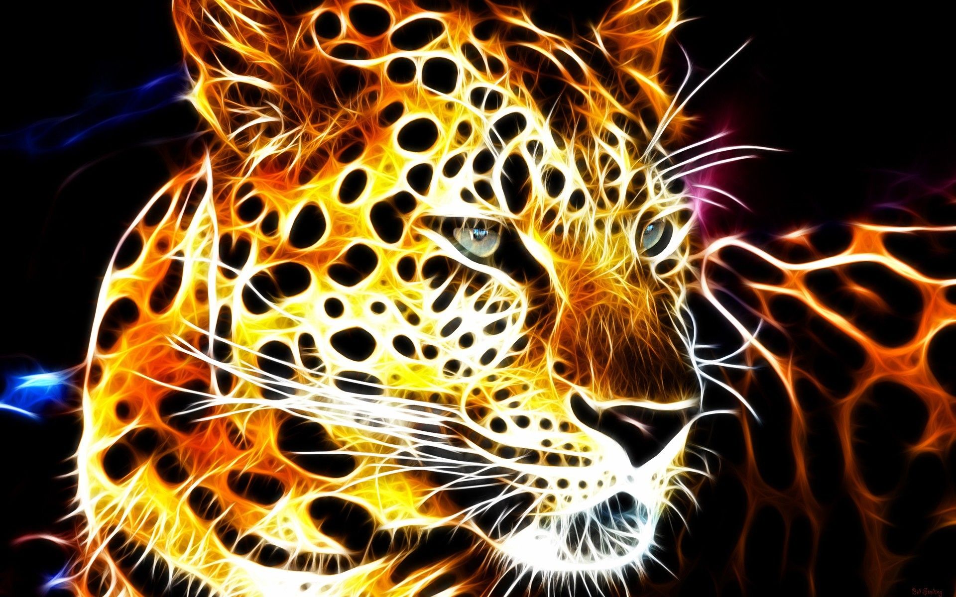 Glowing Animals Wallpapers Wallpaper Cave