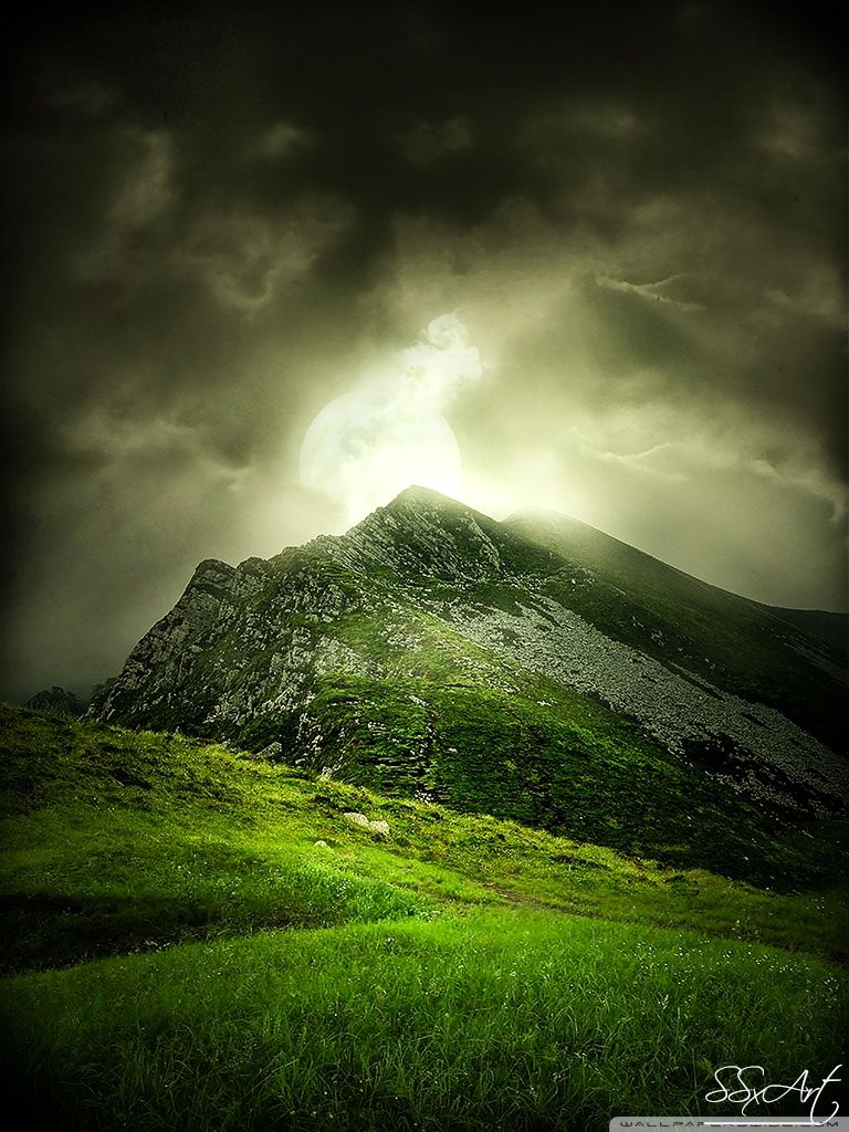 Nature Wallpaper For Mobile 240x320 Free Download