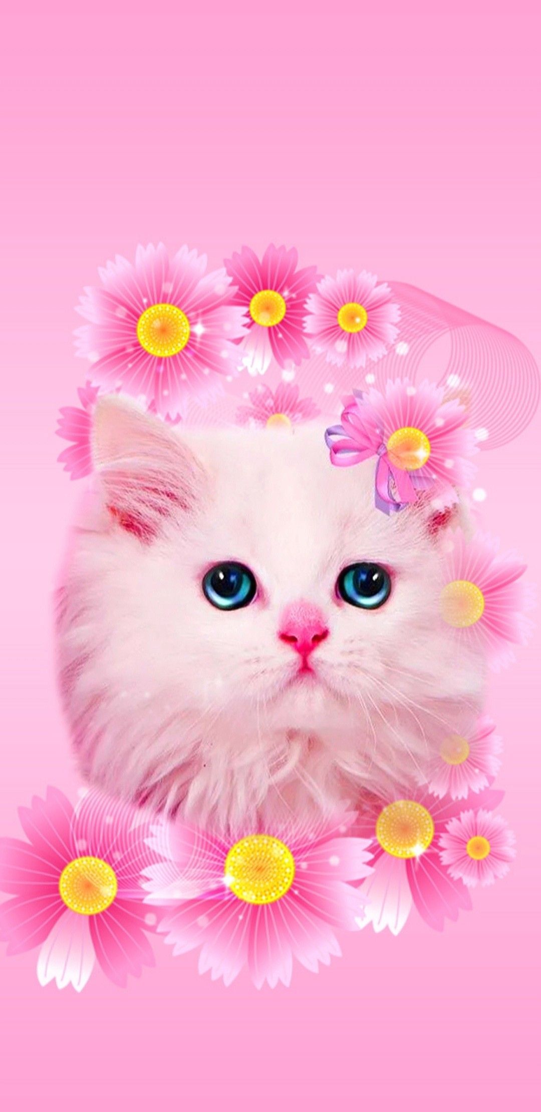 Pink Kitten Wallpapers Wallpaper Cave