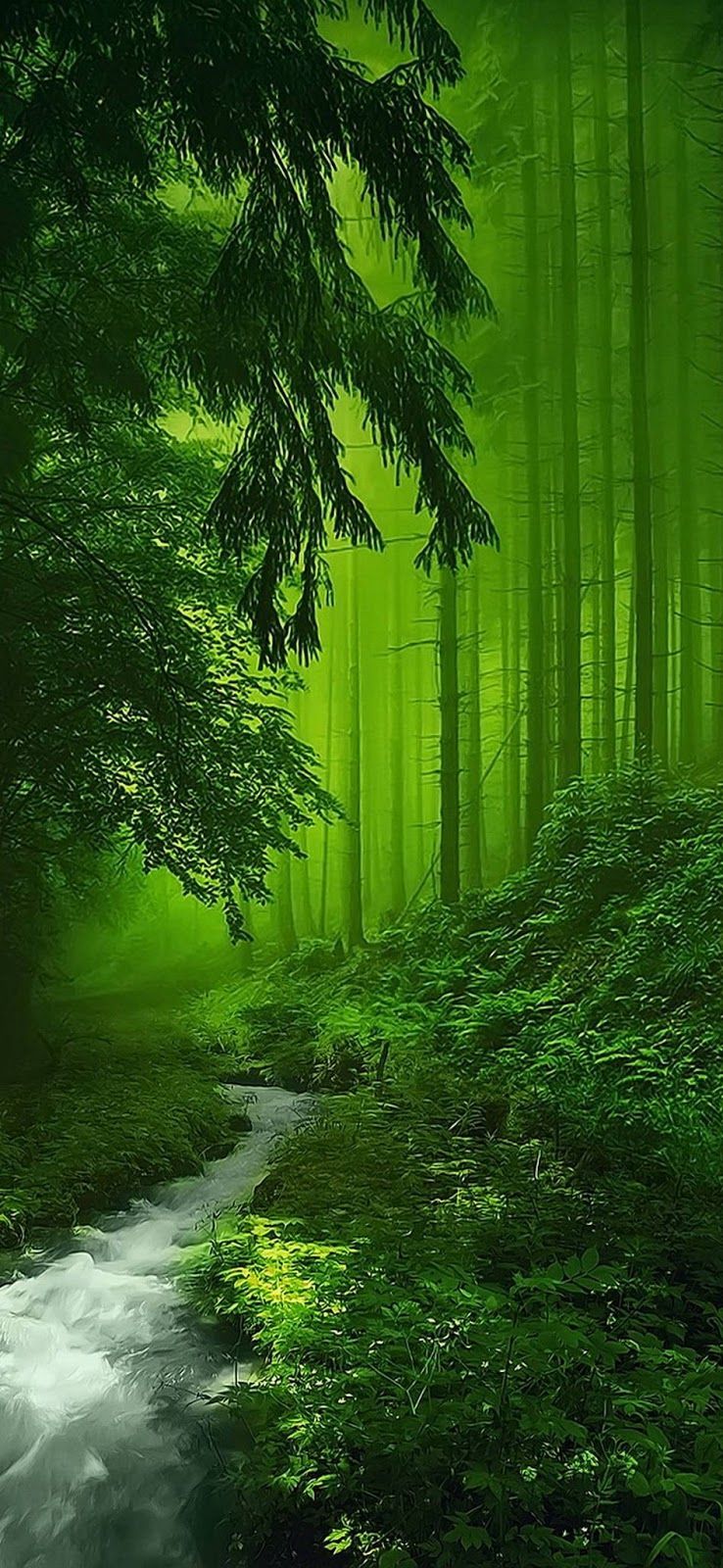 Green Nature Mobile 4k Wallpapers Wallpaper Cave