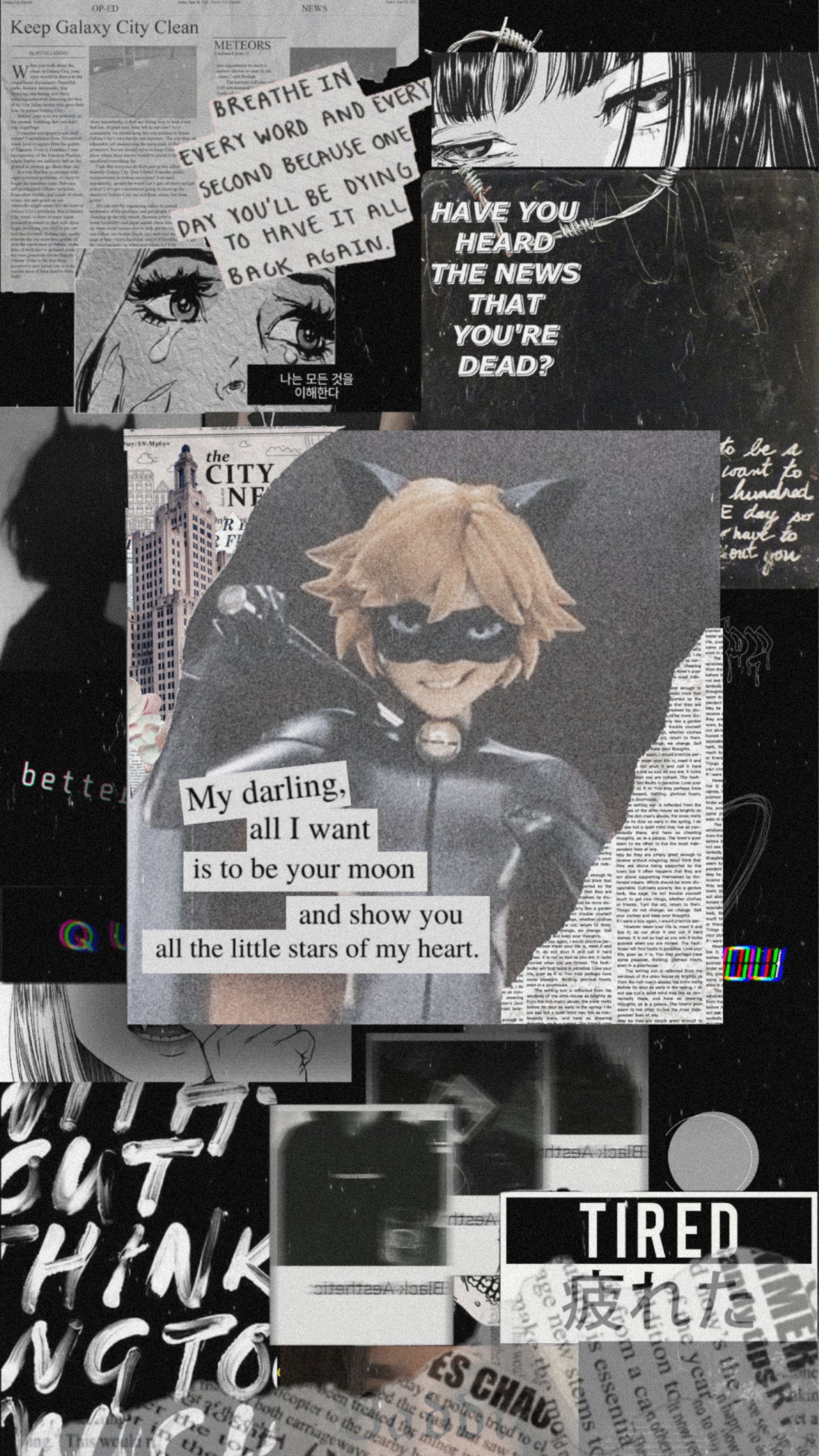Cat Noir Aesthetic Wallpapers Wallpaper Cave