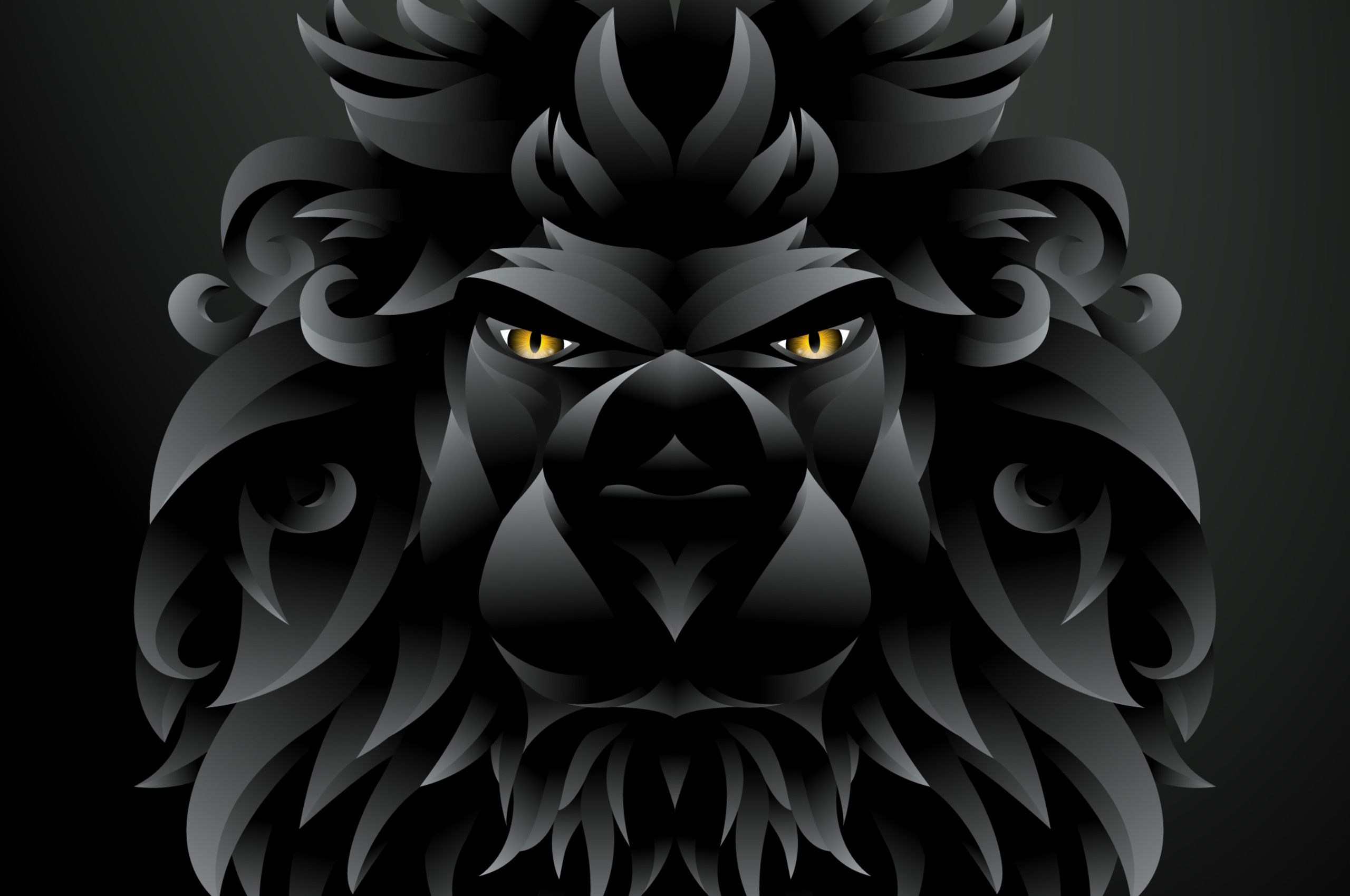 Black Lion 4k Wallpapers Wallpaper Cave