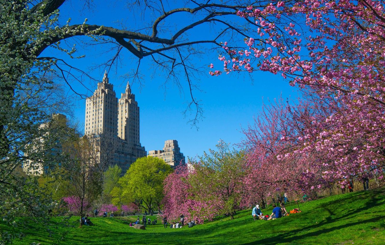 New York City Spring Wallpapers Wallpaper Cave
