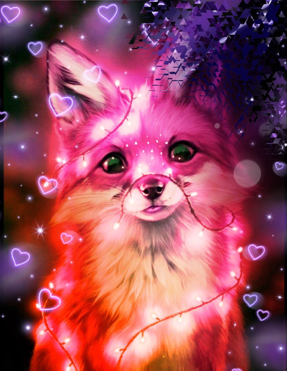 Pink Fox Wallpapers Wallpaper Cave
