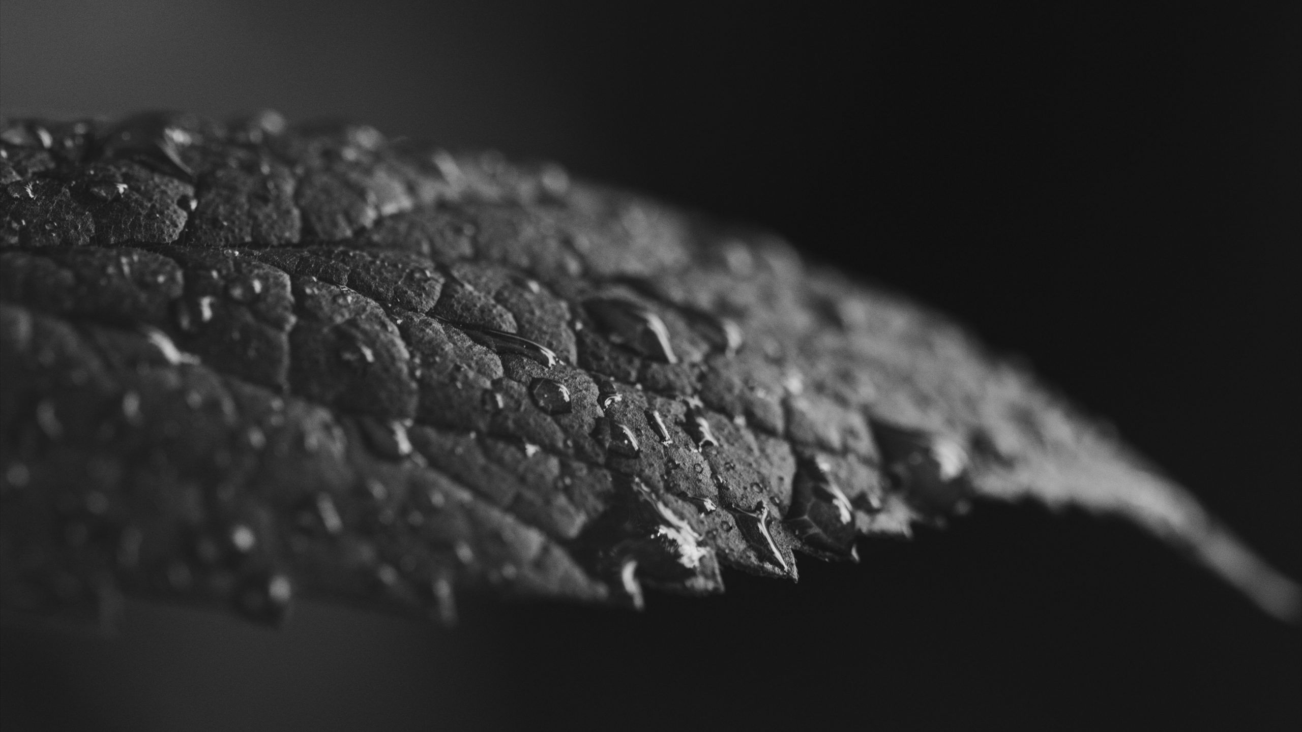 4k Black Grey Wallpapers Wallpaper Cave